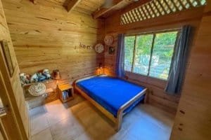 Interior of a wooden jungle hotel room with a blue bed and large window showing greenery.