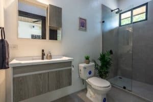Modern creekside bathroom with glass shower, vanity, and tropical plant accents.