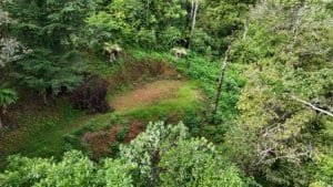 Dominical real estate: lush green hillside with trees and open grassy area.