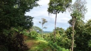 Dominical real estate hillside overlooking lush tropical forest and distant coastline.