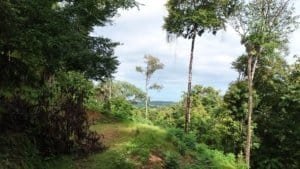 Dominical forest land with hillside and distant ocean view.