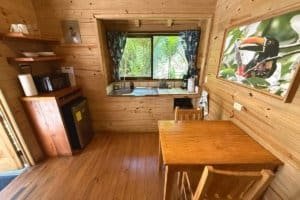 Interior of a wooden jungle cabin kitchen with window view of lush greenery.