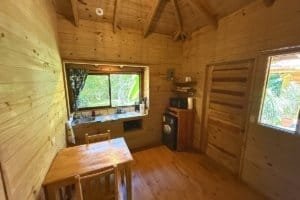 Interior of a jungle hotel room with wooden walls, window view, and small dining table.