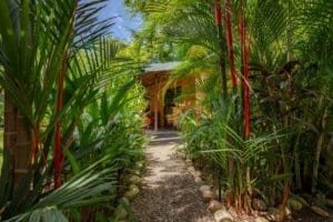 Lush tropical garden path with stone border leading to a cozy bungalow.