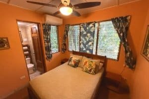 Interior of a tropical jungle hotel room with a large bed, windows, and colorful curtains.