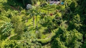 Beautiful tropical garden with winding paths, palm trees, and vibrant plants in Dominical.