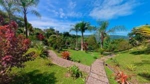Beautiful garden with ocean view, tropical plants, and palm trees in Costa Rica.
