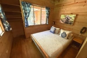 Interior of a rustic jungle hotel room with wooden walls, bed, and window view.