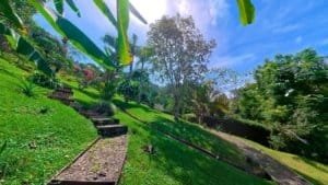 Lush green hillside with trees and stairs in Dominical, Costa Rica.