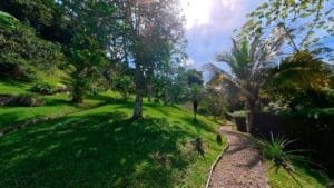 Beautiful tropical garden with trees, plants, and a pathway in Dominical.