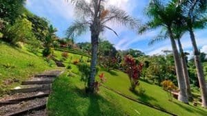 Beautiful hillside view of tropical garden with palm trees and colorful plants.