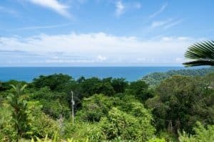 Scenic ocean view from a lush tropical garden in Dominical, Costa Rica.