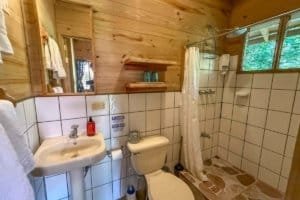 Interior of a rustic jungle hotel bathroom with shower, toilet, and wooden walls.