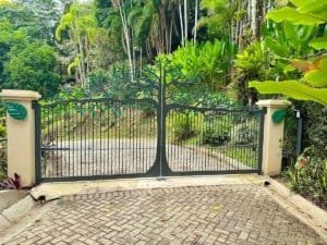 Decorative metal gate with lush tropical plants and trees in the background.