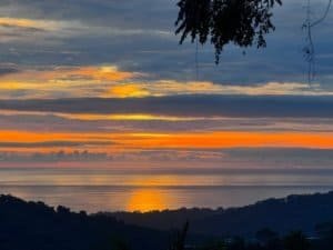 Beautiful sunset view over the ocean with colorful sky and silhouette trees.