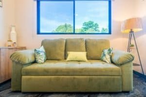 Green sofa in bright living room with large window and plants.