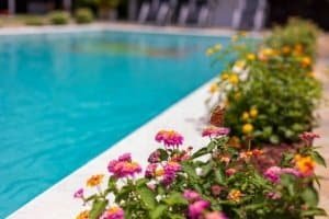 Lush flowers by a pristine pool in Dominical real estate setting.