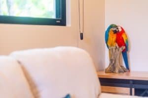 Two macaws perched on a wooden sculpture in a bright living space.