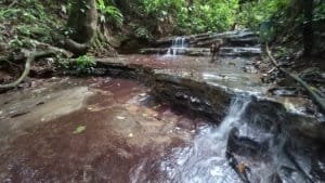 Creekside forest scene with cascading waterfalls and natural pool in Dominical area.