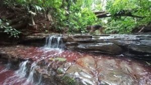Creekside rocks and waterfall in lush Costa Rican forest.