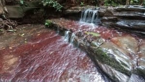 Dominical creek with red-hued tranquil water and stone steps.
