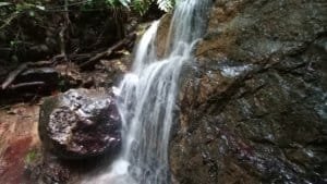 Waterfall along rocky creek in Dominical, Costa Rica with lush greenery.