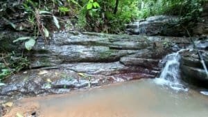 Creekside pool with natural rocks and small waterfall surrounded by lush rainforest.