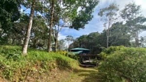 Creekside home with covered Rancho and surrounding tropical trees in Dominical area.