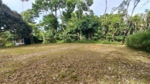 Creekside lot surrounded by tropical trees and clear open space.