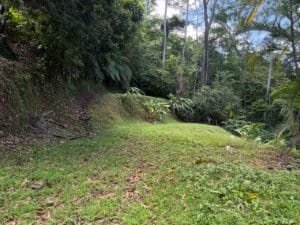 Lush rainforest and grassy building site with ocean view in Costa Rica.