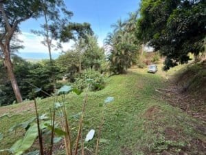 Scenic ocean view land with rainforest and river in Matapalo, Costa Rica.
