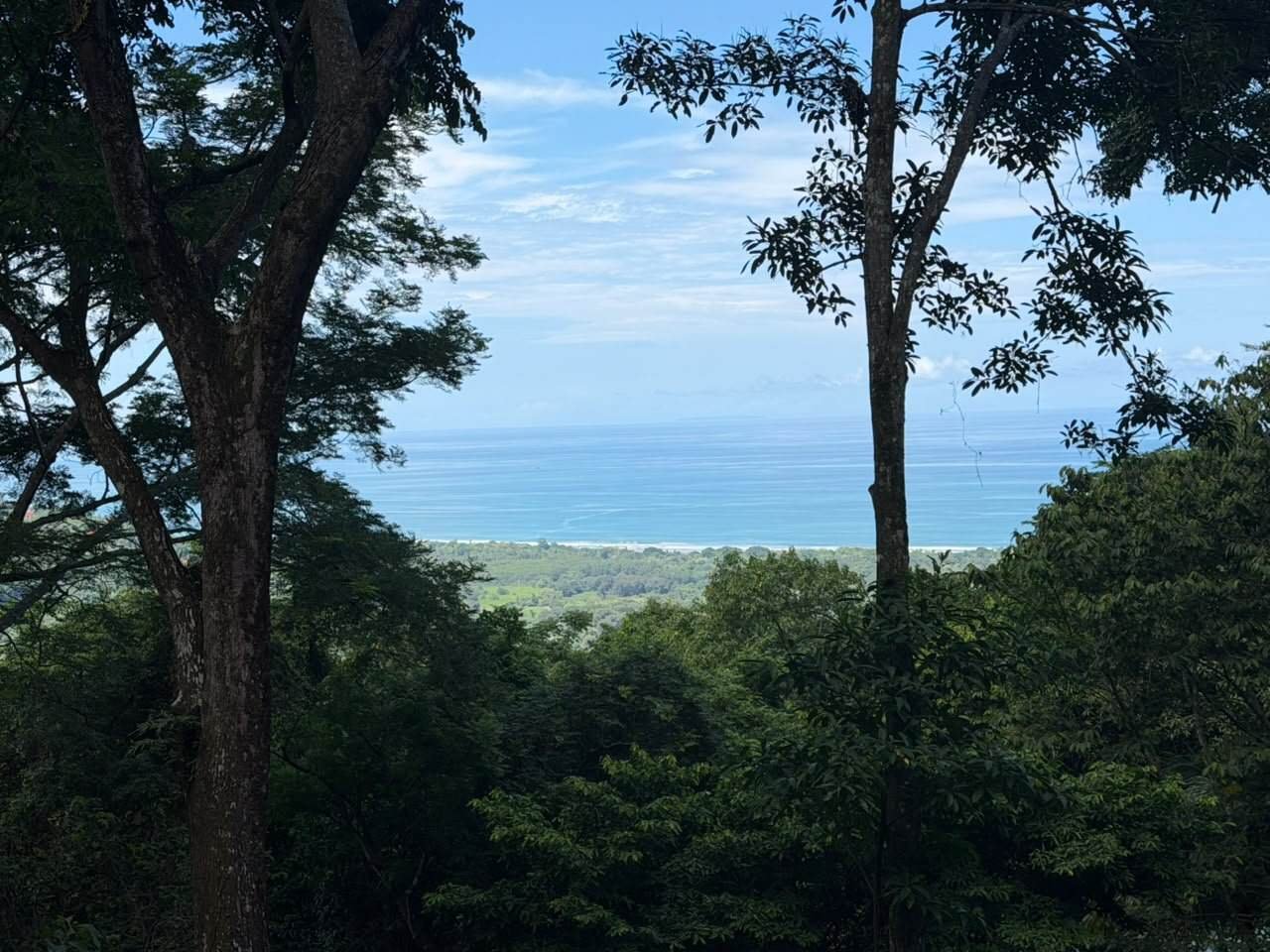 Scenic ocean view from rainforest land in Matapalo, Costa Rica.