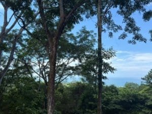 Tropical rainforest with ocean view and blue sky in Matapalo, Costa Rica.