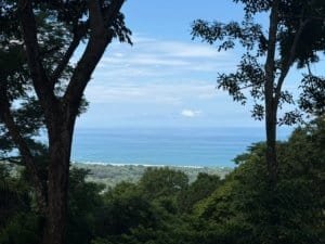 Scenic ocean view with lush rainforest and sky in Matapalo, Costa Rica.