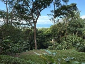 Scenic ocean view from rainforest land in Matapalo, Costa Rica.