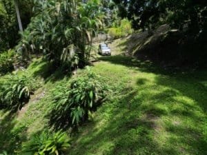 Lush rainforest and grassy land with a car in Matapalo, Costa Rica.