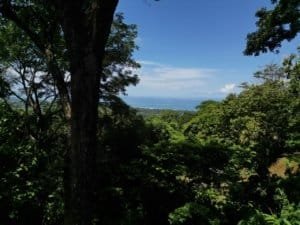 Scenic ocean view from rainforest land in Matapalo, Costa Rica.