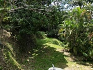 Lush rainforest and ocean view land with building site in Matapalo.