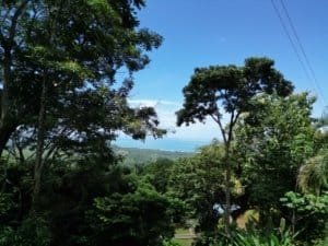 Scenic ocean view with rainforest and trees in Matapalo, Costa Rica.