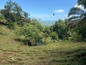 Sloped land with lush greenery and ocean view in Dominical, Costa Rica.