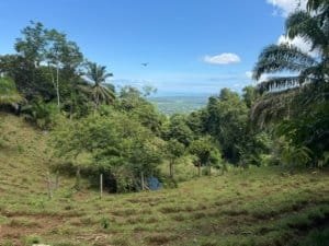Scenic view of lush greenery and ocean in Dominical, Costa Rica.