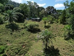 Scenic view of lush tropical land near Dominical with ocean in background.