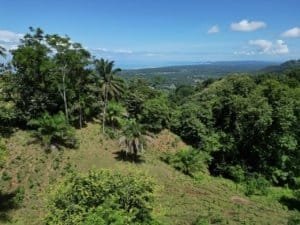 Scenic view of lush tropical forest and distant ocean from hillside property.