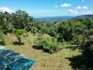 Scenic view of lush green land with ocean and sunset in the distance.