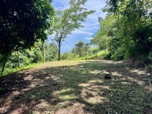 Scenic ocean view lot in Dominical with creek access and utilities.
