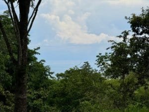 Scenic ocean view from a lush green lot in Dominical, Costa Rica.