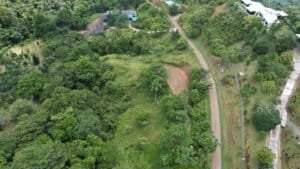 A lush green property with ocean view, accessible by public road in Dominical.